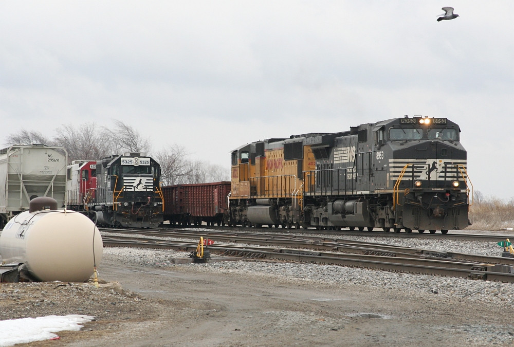 NS freights stopped